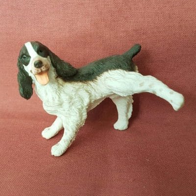 Cocker Spaniel