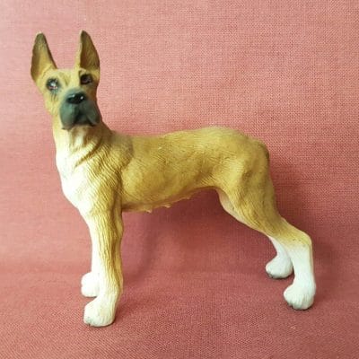 Boxer