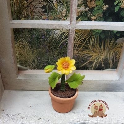 Kleine zonnebloem