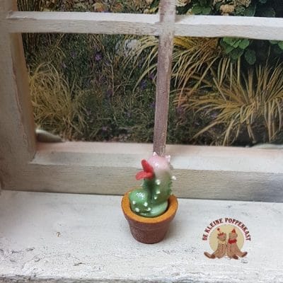 Cactus met roze bloem