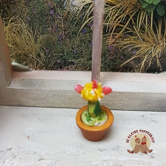Cactus met oranje/gele bloem
