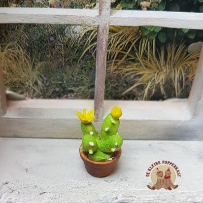 Cactus met gele bloem