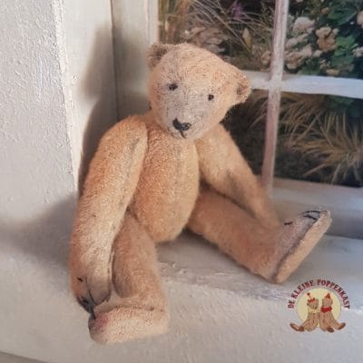Bernie Bear "Bono"
