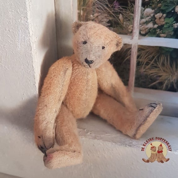 Bernie Bear "Bono"