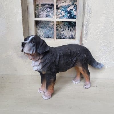 Berner Sennenhond