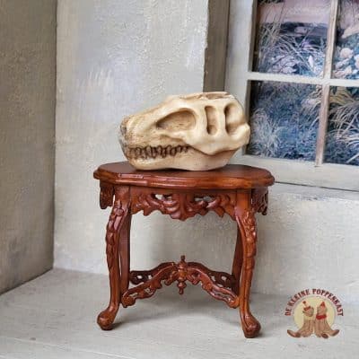 Handgesneden miniatuur dinoschedel voor poppenhuis - 1:12
