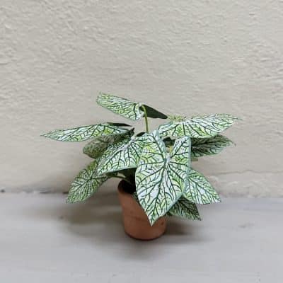 Handgemaakte groen-witte miniatuurplant in terracotta pot voor poppenhuis - 1:12