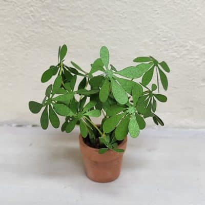 Handgemaakte miniatuur vingerplant in terracotta pot voor poppenhuis - 1:12