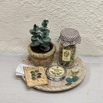 Miniatuur eucalyptus set met plant, kruidenpotje en Eucalyptus Balm op een schaal, schaal 1:12.