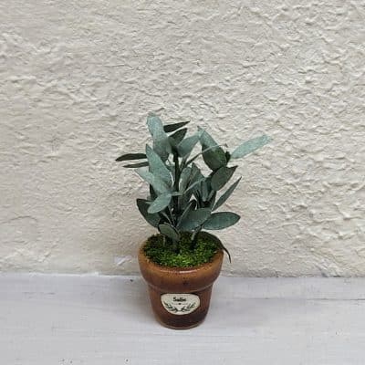 DIY zelfmaakpakket salieplant in pot - 1:12