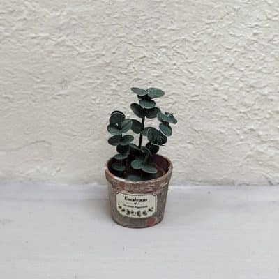 Handgemaakte eucalyptusplant met grijsgroene bladeren in een verweerd ogende pot, schaal 1:12