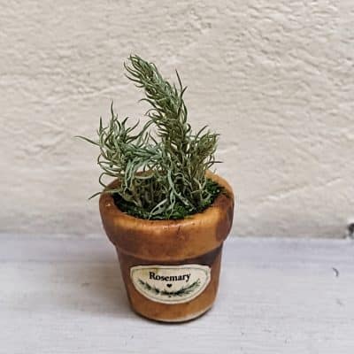 DIY zelfmaakpakket rozemarijnplant met terracotta pot en etiket, schaal 1:12.
